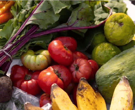 preguntas-frecuentes